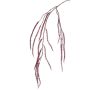 Rama de plástico Amaranthus LEOPOLD, rojo oscuro, 120cm