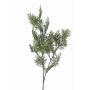 Rama falsa de ciprés FROWIN, verde, 80cm