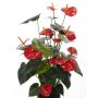 Anthurium de plástico LIOSA con vara de fijación, rojo, 80cm, 8x10cm