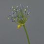 Allium de plástico KATYNA, azul, 70cm
