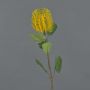 Flor sintética Banksia CONAKIR, amarilla, 55cm