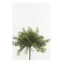 Helecho espárrago de plástico MONET con palo, 10cm