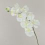 Rama artificial de orquídea Phalaenopsis ANAT, crema, 100cm