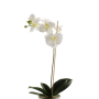 Orquídea Phalaenopsis de plástico ISIS, con palo, blanco, 60cm