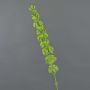Campanas de irlanda sintéticas SIERA, verde, 80cm