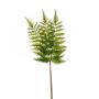 Rama de helecho espada artificial HALIMA, verde, 60cm