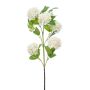 Rama de viburno artificial FONTE, crema, 75cm