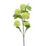 Rama de viburno artificial FONTE, verde claro, 75cm