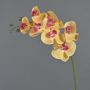Rama de orquídea Phalaenopsis de imitación NEITH, naranja-rosa, 85cm