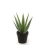 Planta artificial Aloe Variegata MARTINEZ, verde, 25cm, Ø17cm
