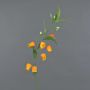 Lirio falso sandersonia MASARU, naranja-amarillo, 95cm