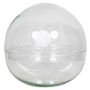 Terrario de cristal redondo BRYSON, transparente, 19,5cm, Ø19,5cm