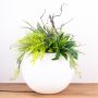 Arreglo de plantas personalizado - Petición del cliente Jörg