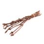 Ramas de vid RAGGA en manojo, 10 piezas, natural, 60cm