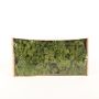 Musgo natural islandés SVEINBJÖRN, verde, 500g