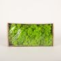 Musgo islandés natural SVEINBJÖRN, verde manzana, 500g