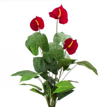 Anturio artificial CALVINA con palo, rojo, 80cm, 12x16cm