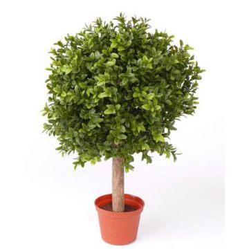 Arbol de boj de plástico TOM, tronco real, puerta en cruz, 35cm, Ø25cm