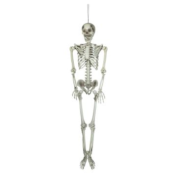 Esqueleto de Halloween LAMBERT, colgante, 150cm