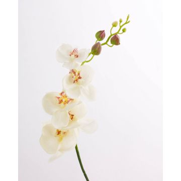 Rama textil de orquídea Phalaenopsis DAJANA, blanco-crema, 90cm