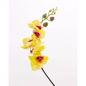 Rama textil de orquídea Phalaenopsis DAJANA, amarillo-rosa, 90cm