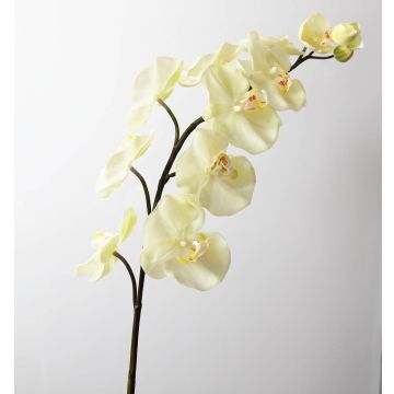 Rama textil de orquídea Phalaenopsis FIDELIA, crema, 110cm