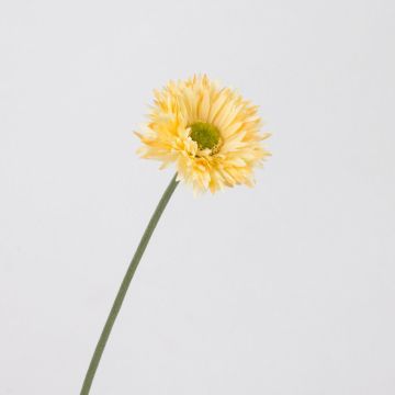 Flor de plástico gerbera CELINA, albaricoque, 45cm, Ø7cm