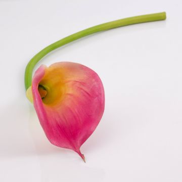 Calla sintética TERESA, rosa-amarillo, 70cm, 10x18cm