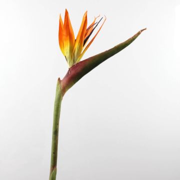 Flor ave del paraíso artificial CHAYA, naranja-morado, 95cm, 17x24cm