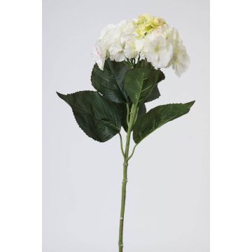Flor artificial hortensia ANGELINA, blanco-crema, 70cm, Ø23cm