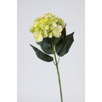 Flor artificial hortensia ANGELINA, verde crema, 70cm, Ø23cm