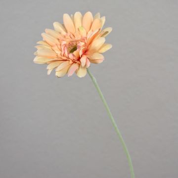 Gerbera de plástico VIRGINIA, rosa-crema, 55cm, Ø11cm