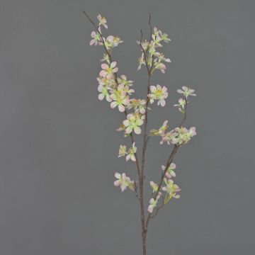 Rama decorativa de manzano en flor LOUISA, floración, rosa-blanco, 85cm