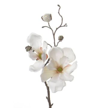 Magnolia de plástico MALBINE, crema, 50cm, Ø6-10cm