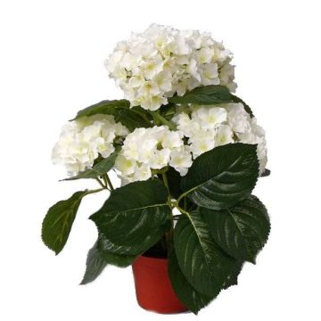 Flor artificial hortensia TEMARI, crema, 40cm, Ø10-12cm