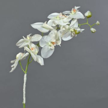 Orquídea de plástico Phalaenopsis NALANI, nieve, blanca, 80cm