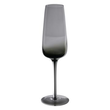 Copa de champán LUCIEL, gris transparente, 23cm, Ø7cm