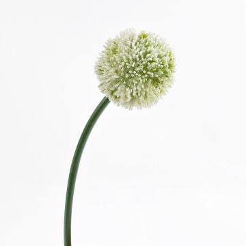 Allium artificial BEATRISA, crema, 65cm, Ø10cm