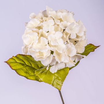 Hortensia de plástico MONA, crema, 70cm, Ø16cm