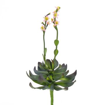 Aeonium suculenta artificial CHARLIZE, floración, con palo, rosa, 30cm