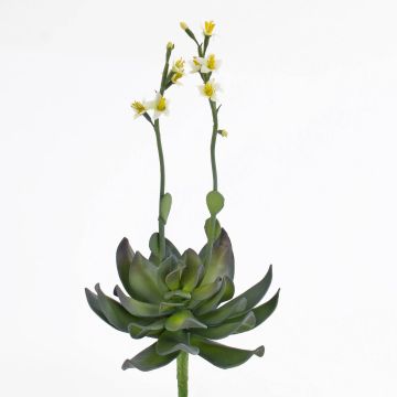 Aeonium suculenta artificial CHARLIZE, floración, con palo, amarillo, 30cm