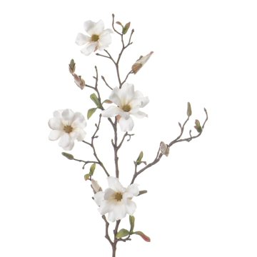 Magnolia falsa MARGA, blanca, 80cm, Ø6-8cm