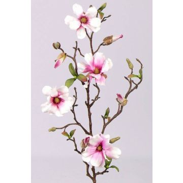 Magnolia falsa MARGA, rosa-rosa, 80cm, Ø6-8cm