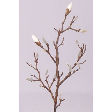 Rama textil de magnolia ASANI, blanca, 70cm
