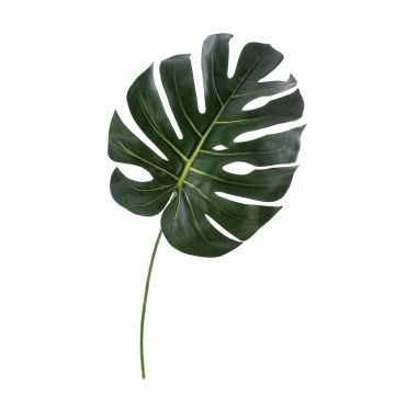 Hoja artificial de Philodendron Monstera Deliciosa UMBERTO, 55cm