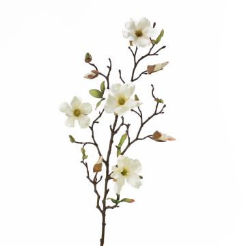 Magnolia de plástico LILO, crema, 75cm, Ø5-9cm