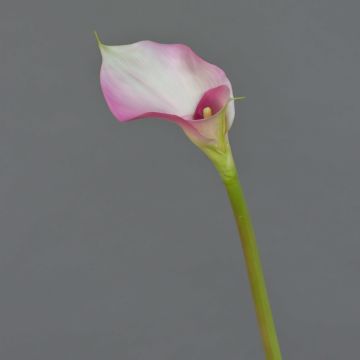Calla sintética MARIOLA, rosa-blanco, 80cm, 8x15cm
