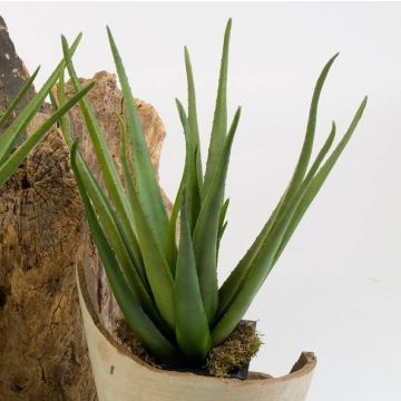 Aloe Vera de plástico AMIRA con palo, verde, 60cm, Ø35cm