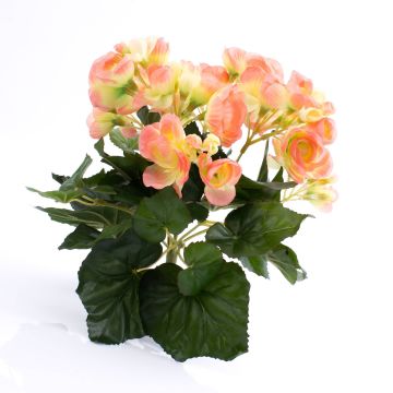 Begonia sintética IVANA con palo, melocotón, 20cm, Ø3-5cm