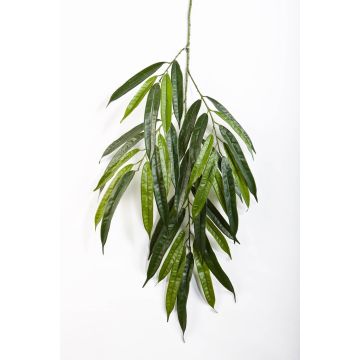 Rama de longifolia de plástico NILAY, 65cm